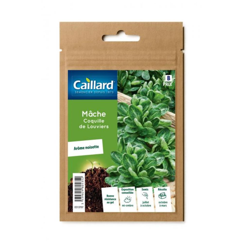 MACHE COQUILLE DE LOUVIERS